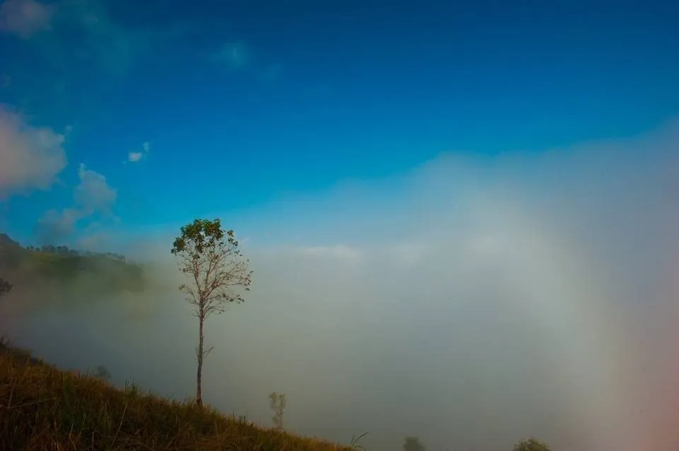 Phiêu với mùa mây Tà Tổng