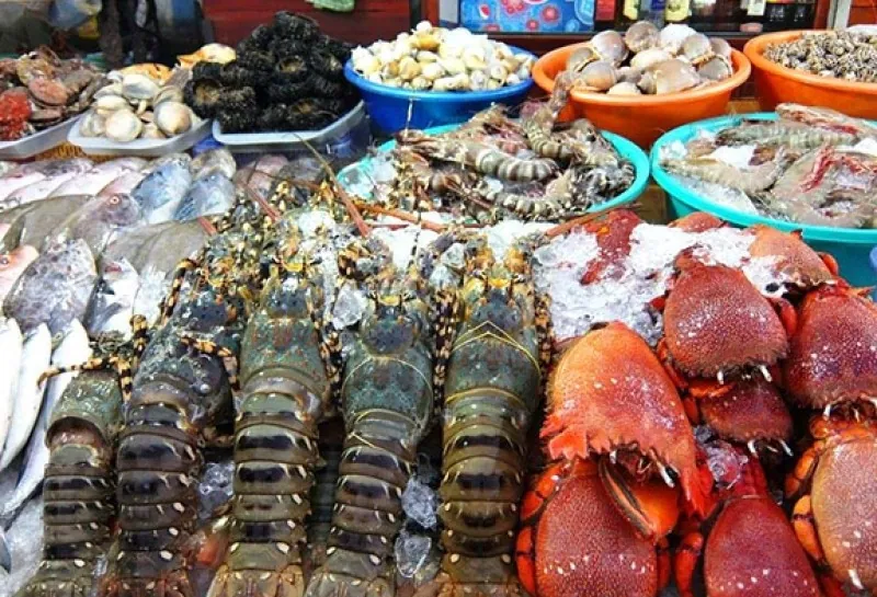 Phú Quốc có gì trong những ngày cuối năm rộn rã