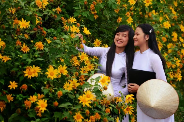Rực rỡ sắc dã quỳ nở rộ chốn Đà Lạt mờ sương