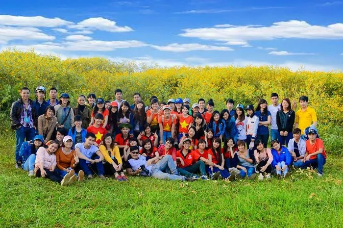 Rực rỡ sắc dã quỳ nở rộ chốn Đà Lạt mờ sương