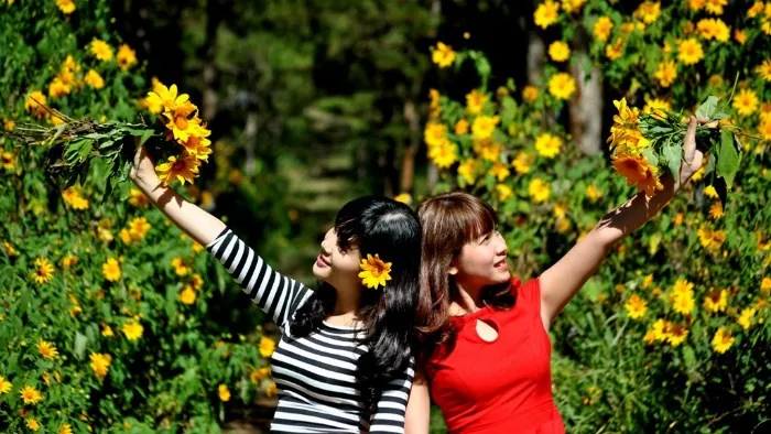 Rực rỡ sắc dã quỳ nở rộ chốn Đà Lạt mờ sương