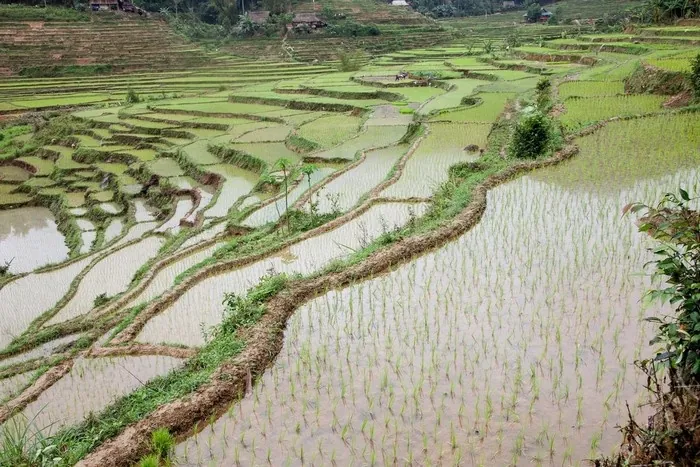 Ruộng Mai Châu soi bóng mây trời mùa đổ ải
