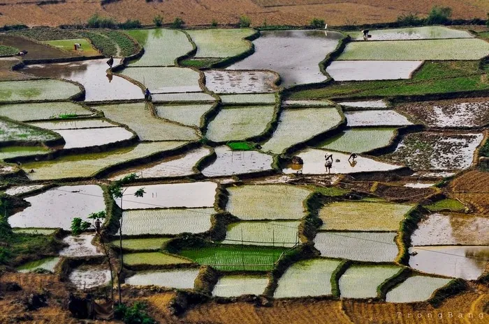Ruộng Mai Châu soi bóng mây trời mùa đổ ải Ruộng Mai Châu soi bóng mây trời mùa đổ ải