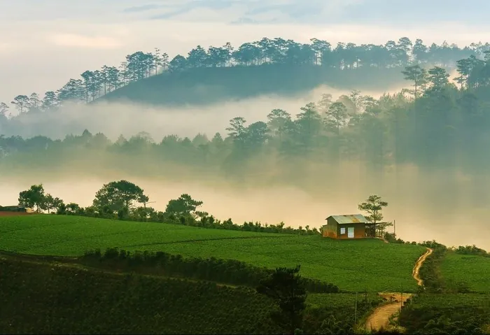 Săn mây vùng ngoại ô Trại Mát Săn mây vùng ngoại ô Trại Mát