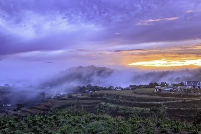 Săn mây vùng ngoại ô Trại Mát Săn mây vùng ngoại ô Trại Mát