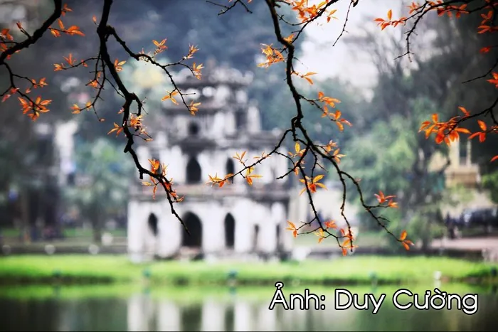 Say lòng phố Thu Hà Nội tháng 11 Say lòng phố Thu Hà Nội tháng 11