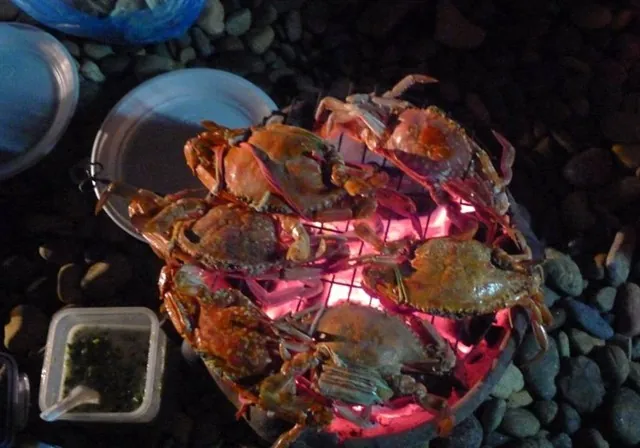 Sơn Mỹ Beach - Điểm đến mới tinh cho tín đồ khát biển Lagi Sơn Mỹ beach điểm đến mới ở biển lagi