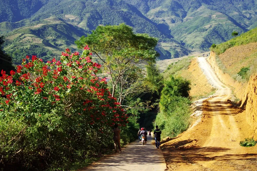 Thiên nhiên tươi đẹp trên các nẻo đường Tây Bắc