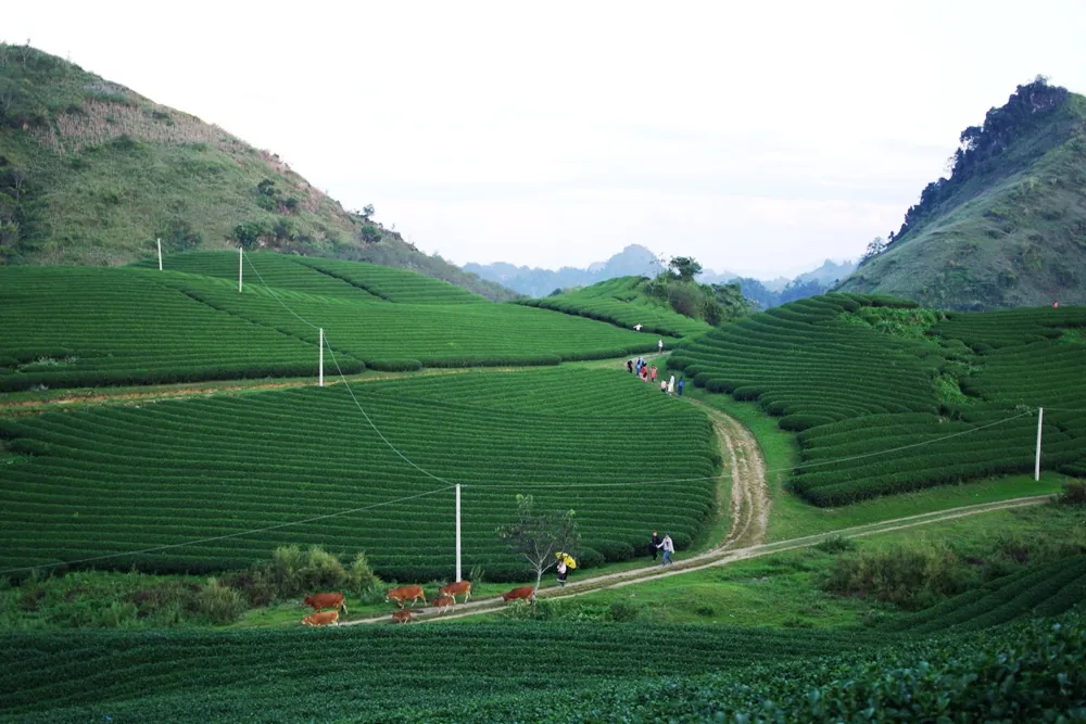Thiên nhiên tươi đẹp trên các nẻo đường Tây Bắc