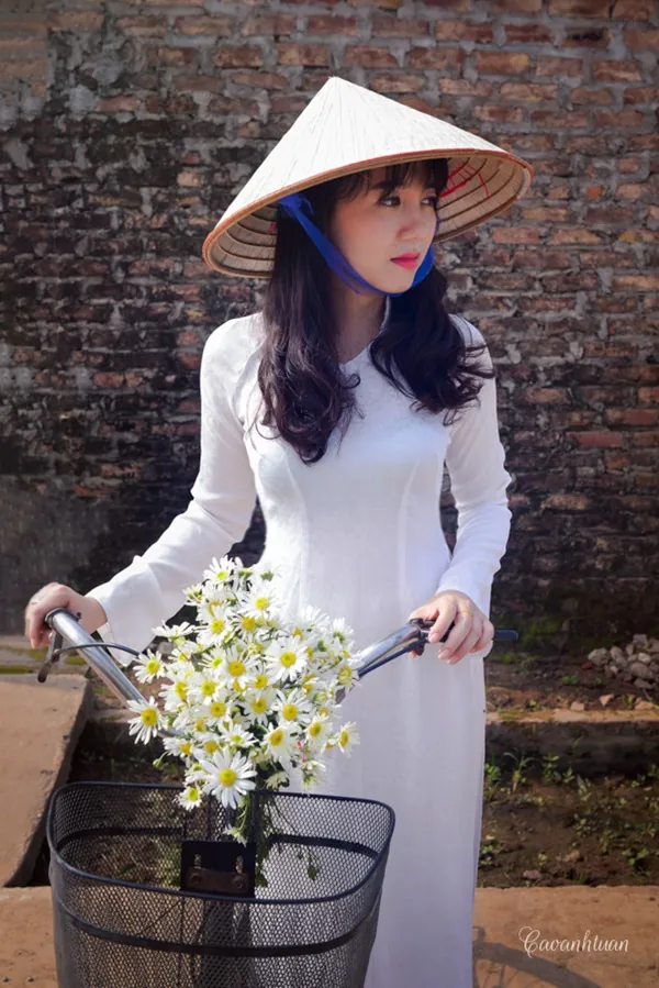 Thiếu nữ Hà Thành đẹp tinh khôi bên cúc họa mi Thiếu nữ Hà Thành đẹp tinh khôi bên cúc họa mi