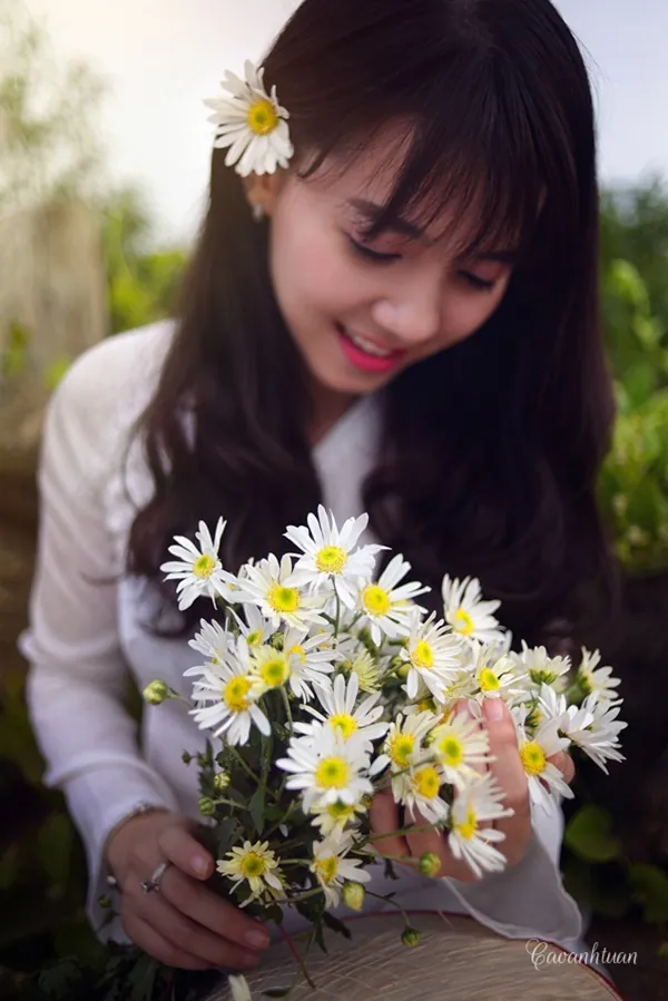 Thiếu nữ Hà Thành đẹp tinh khôi bên cúc họa mi