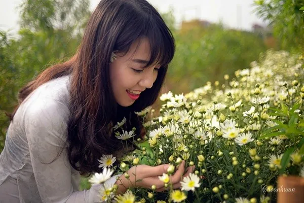 Thiếu nữ Hà Thành đẹp tinh khôi bên cúc họa mi Thiếu nữ Hà Thành đẹp tinh khôi bên cúc họa mi
