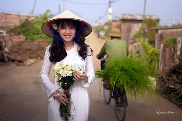 Thiếu nữ Hà Thành đẹp tinh khôi bên cúc họa mi Thiếu nữ Hà Thành đẹp tinh khôi bên cúc họa mi