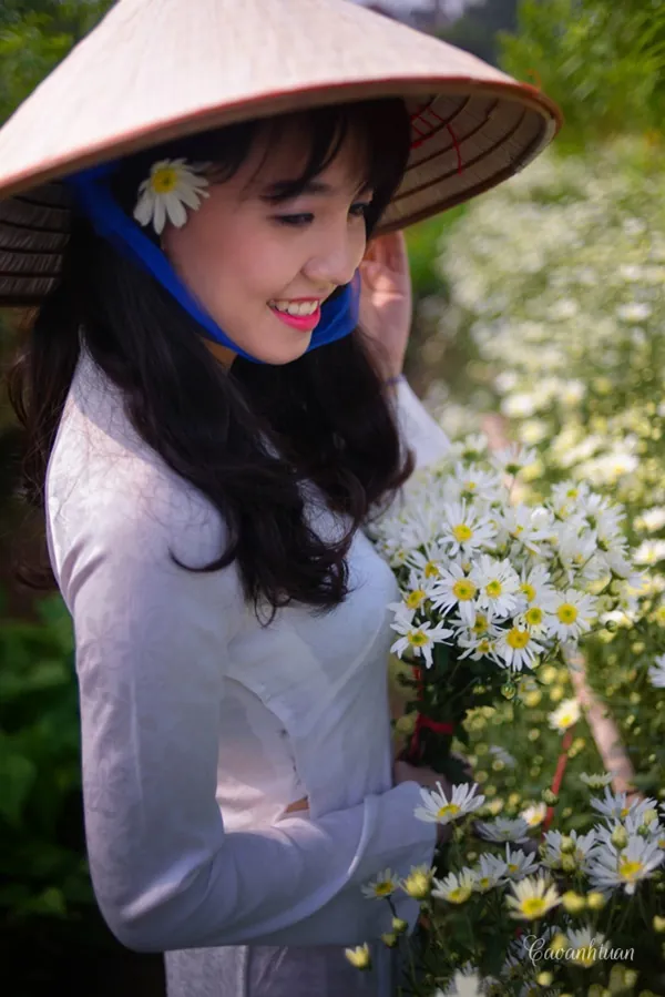 Thiếu nữ Hà Thành đẹp tinh khôi bên cúc họa mi Thiếu nữ Hà Thành đẹp tinh khôi bên cúc họa mi