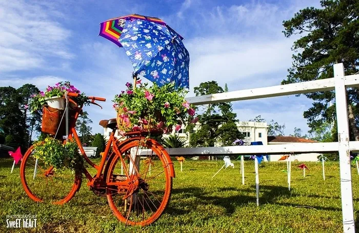 TIẾT ĐÔNG ĐÀ LẠT THÁNG 12 CÓ GÌ LƯU LUYẾN