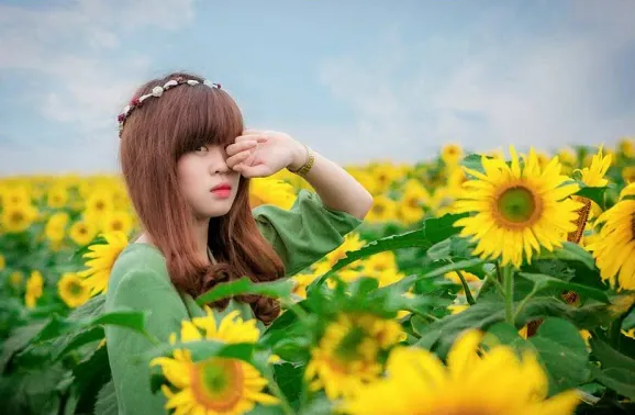 Vẻ đẹp rực rỡ từ cánh đồng hướng dương lớn nhất Việt Nam Vẻ đẹp rực rỡ từ cánh đồng hướng dương lớn nhất Việt Nam