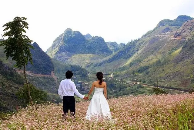 Về Hà Giang chụp ảnh cưới ngọt ngào cùng hoa tam giác mạch