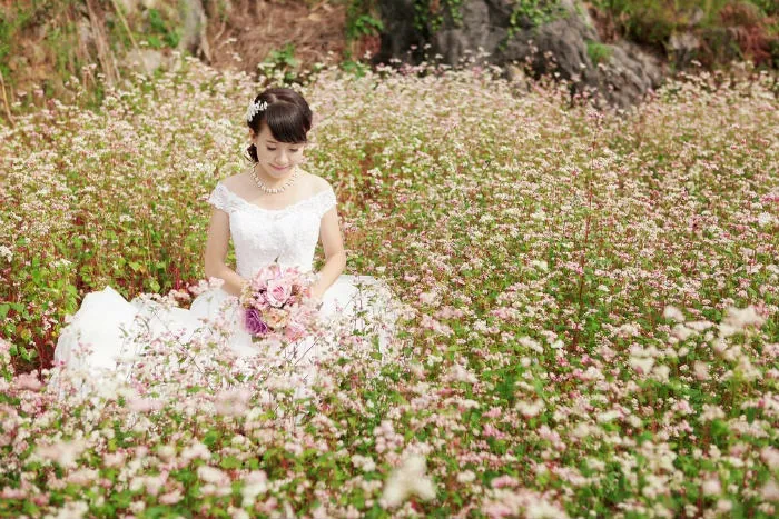 Về Hà Giang chụp ảnh cưới ngọt ngào cùng hoa tam giác mạch