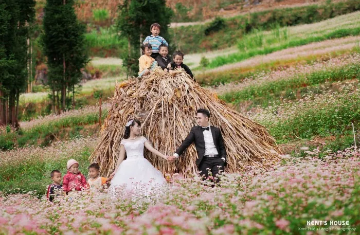 Về Hà Giang chụp ảnh cưới ngọt ngào cùng hoa tam giác mạch
