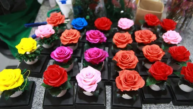 12 điểm miễn phí nên ghé khi đến Đà Lạt dịp Festival Hoa