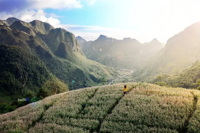 5 vùng đất mùa đông dành riêng cho người ưa xê dịch 5 vùng đất mùa đông dành riêng cho người ưa xê dịch