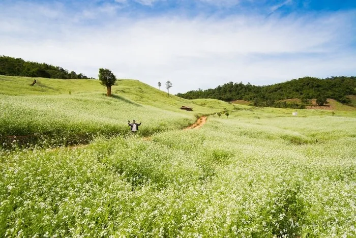 5 vùng đất mùa đông dành riêng cho người ưa xê dịch 5 vùng đất mùa đông dành riêng cho người ưa xê dịch