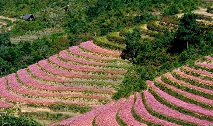5 vùng đất mùa đông dành riêng cho người ưa xê dịch 5 vùng đất mùa đông dành riêng cho người ưa xê dịch