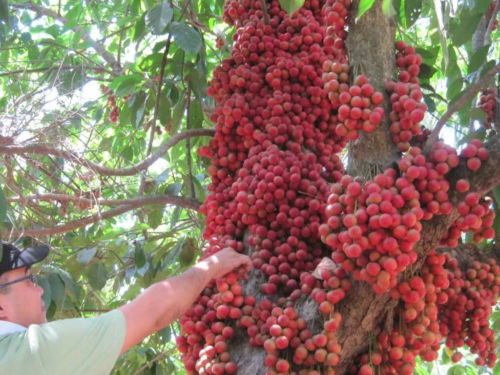 6 điểm đến không thể bỏ qua khi đi du lịch Bình Dương 6 điểm đến không thể bỏ qua khi đi du lịch Bình Dương
