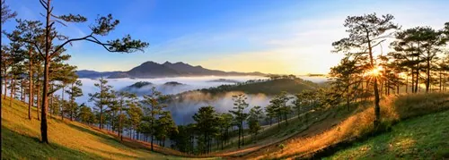 Ảnh Đà Lạt huyền ảo trong sương khiến vạn người mê