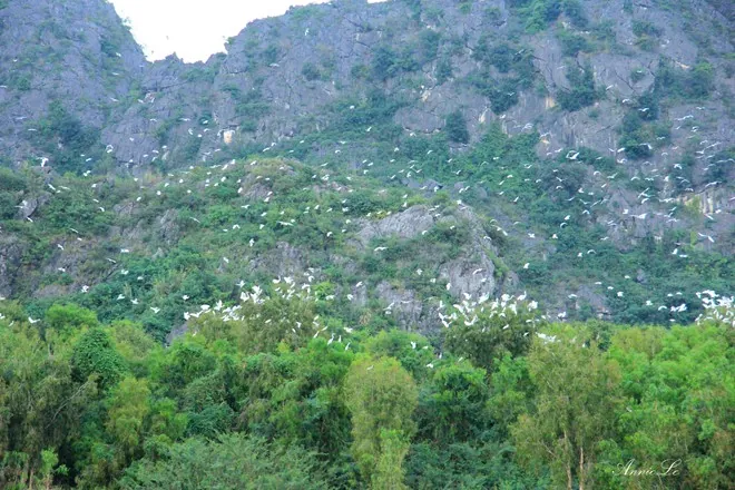 Du lịch đầm Vân Long ngắm hoàng hôn tĩnh lặng Hoàng hôn tĩnh lặng trên đầm Vân Long