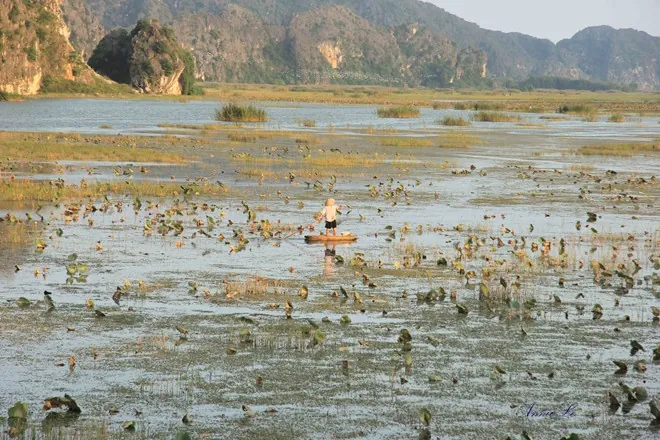 Du lịch đầm Vân Long ngắm hoàng hôn tĩnh lặng Hoàng hôn tĩnh lặng trên đầm Vân Long
