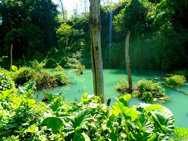 Màu xanh kỳ diệu ở thác Gia Long - thế giới bị lãng quên Màu xanh kỳ diệu ở thác Gia Long thế giới bị lãng quên