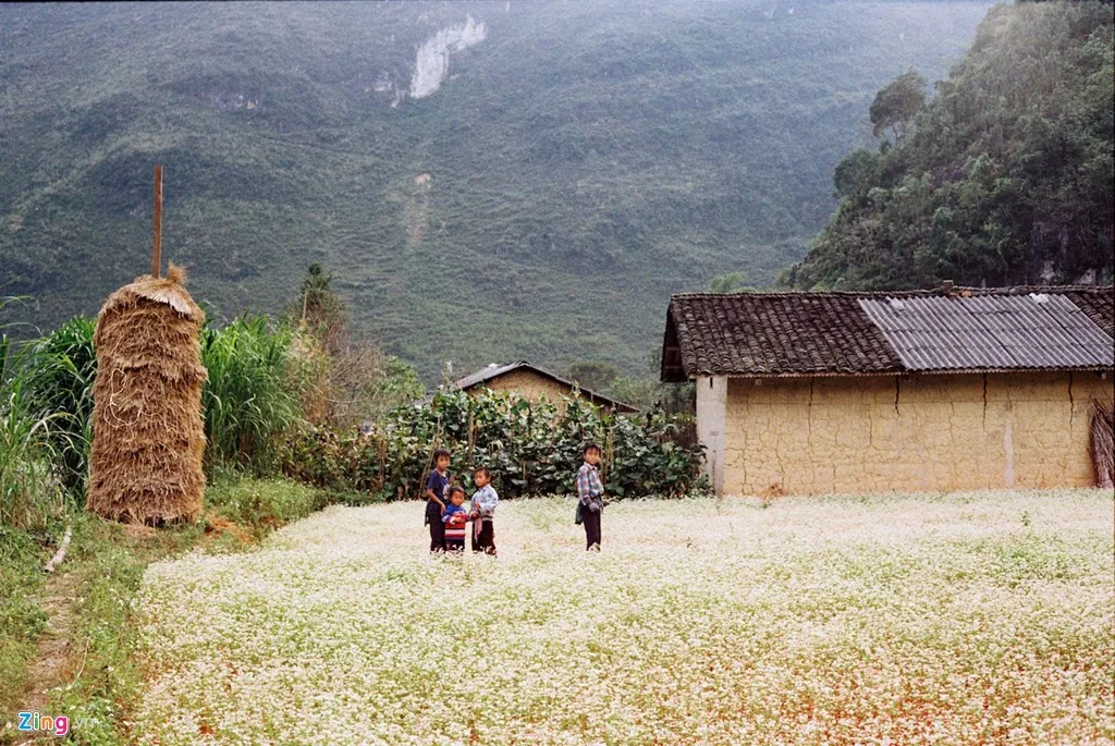 Nắng dát vàng Hà Giang những ngày đầu đông Nắng dát vàng Hà Giang những ngày đầu đông