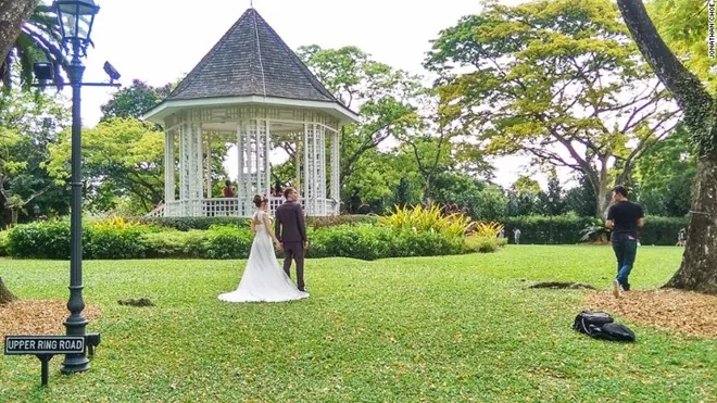 Rừng mưa nguyên sinh giữa lòng Singapore Rừng mưa nguyên sinh giữa lòng Singapore