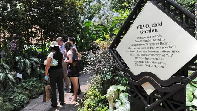 Rừng mưa nguyên sinh giữa lòng Singapore Rừng mưa nguyên sinh giữa lòng Singapore
