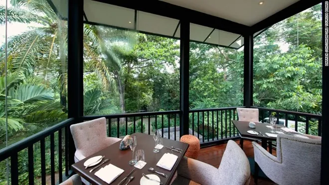 Rừng mưa nguyên sinh giữa lòng Singapore Rừng mưa nguyên sinh giữa lòng Singapore