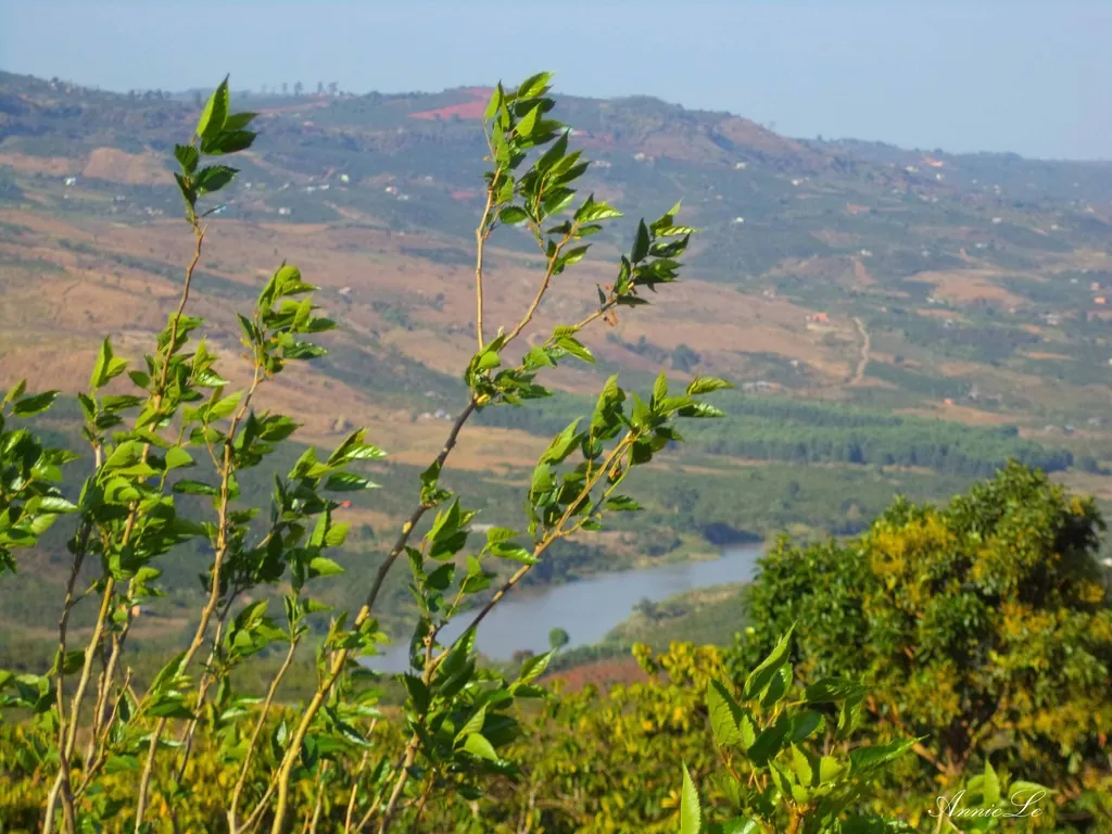 Vẻ đẹp mộc mạc của cao nguyên Di Linh