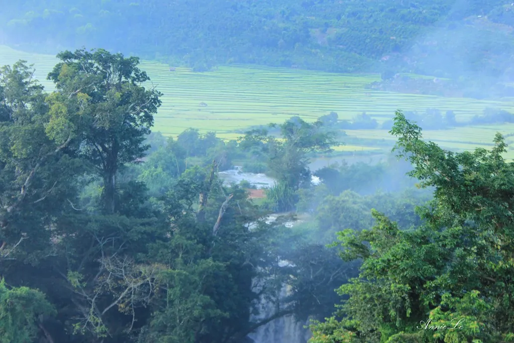 Vẻ đẹp mộc mạc của cao nguyên Di Linh