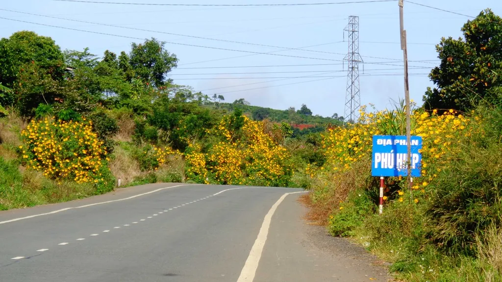 Vẻ đẹp mộc mạc của cao nguyên Di Linh