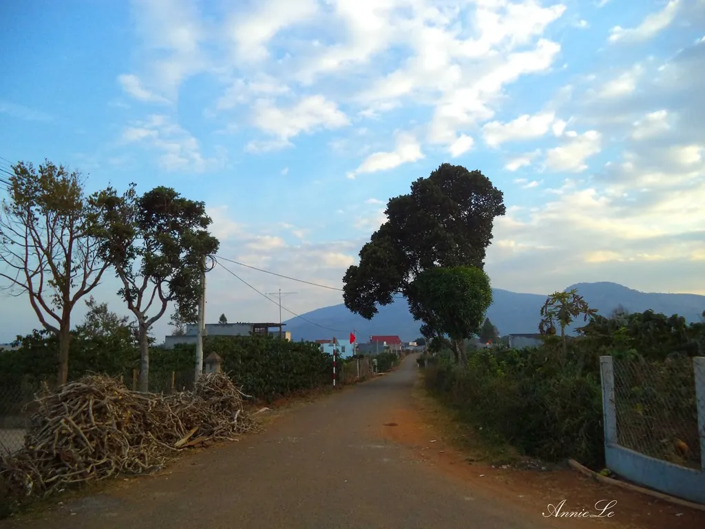 Vẻ đẹp mộc mạc của cao nguyên Di Linh
