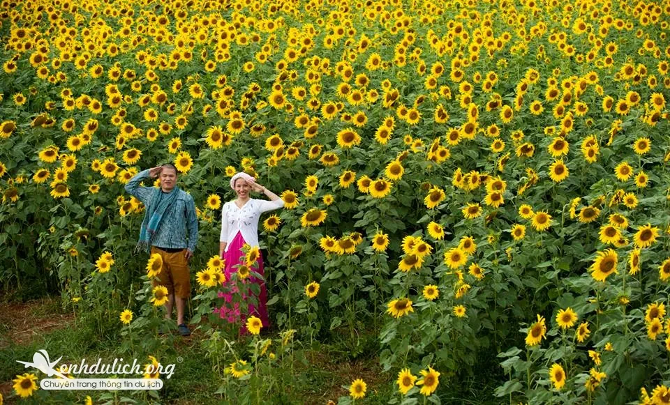 ảnh cưới đẹp ở đà lạt