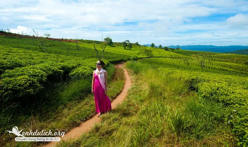 ảnh cưới đẹp ở đà lạt