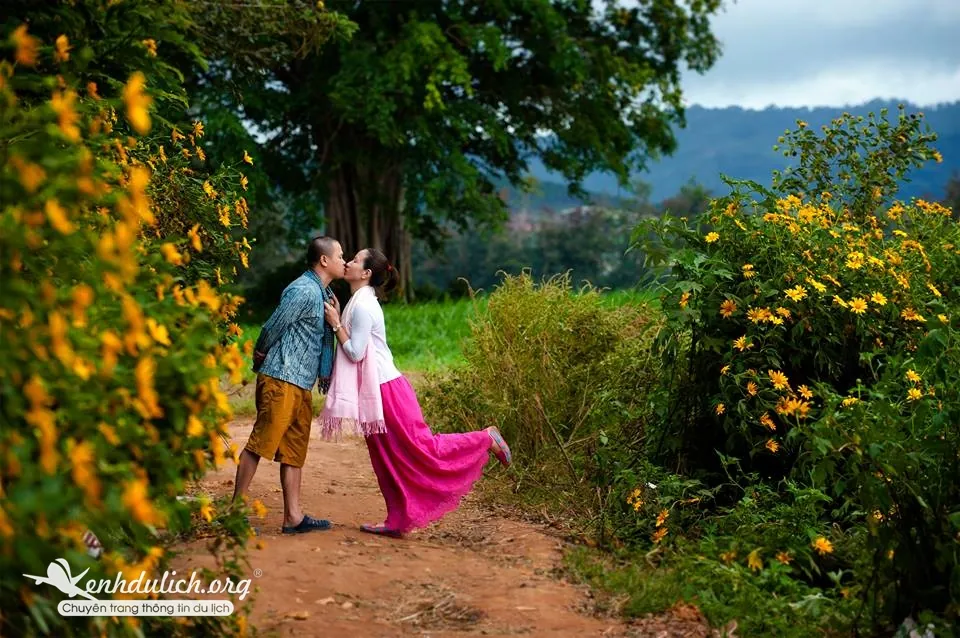 ảnh cưới đẹp ở đà lạt