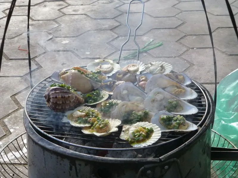 Bãi sau Vũng Tàu - Địa điểm nghỉ mát lý tưởng Bãi sau Vũng Tàu Địa điểm nghỉ mát lý tưởng