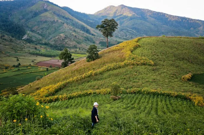 Cận cảnh vẻ đẹp núi lửa Chư Đăng Ya tại Pleiku