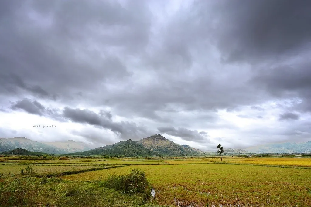 Cận cảnh vẻ đẹp núi lửa Chư Đăng Ya tại Pleiku