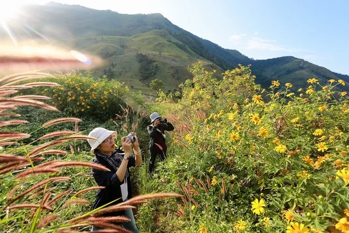 Cận cảnh vẻ đẹp núi lửa Chư Đăng Ya tại Pleiku