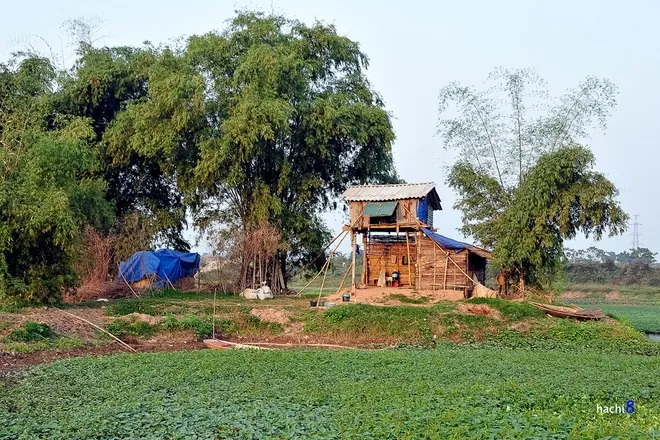 Chiều đông thanh bình bên bờ sông Đáy Chiều đông thanh bình bên bờ sông Đáy