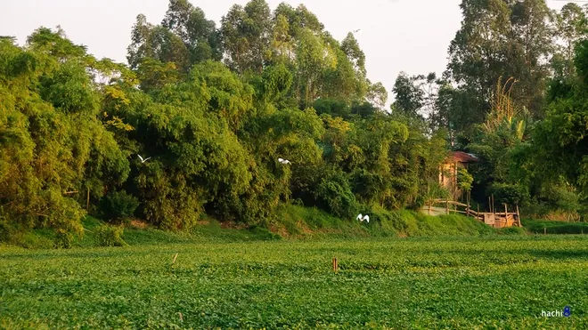 Chiều đông thanh bình bên bờ sông Đáy Chiều đông thanh bình bên bờ sông Đáy