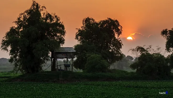 Chiều đông thanh bình bên bờ sông Đáy Chiều đông thanh bình bên bờ sông Đáy